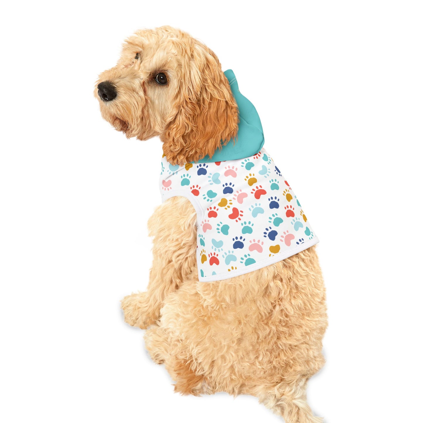 Paws & Purpose Pet Hoodie