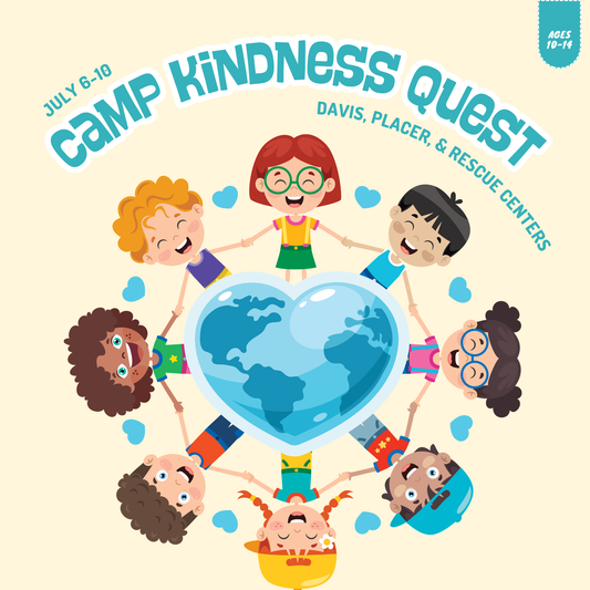 2026 Summer Camp | Camp Kindness Quest | Ages 10-14 | July 6–10 | Davis, Placer & Rescue