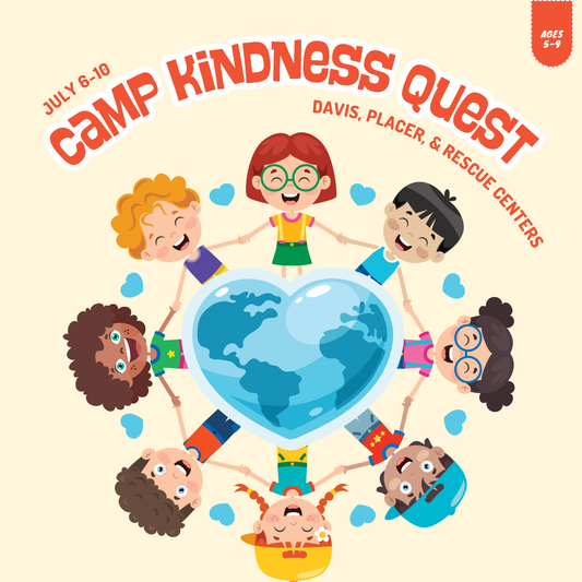 2026 Summer Camp | Camp Kindness Quest | Ages 5–9 | July 6–10 | Davis, Placer & Rescue