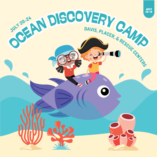 2026 Summer Camp | Ocean Discovery Camp | Ages 10-14 | July 20-24 | Davis, Placer & Rescue