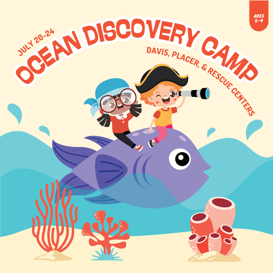 2026 Summer Camp | Ocean Discovery Camp | Ages 5–9 | July 20-24 | Davis, Placer & Rescue